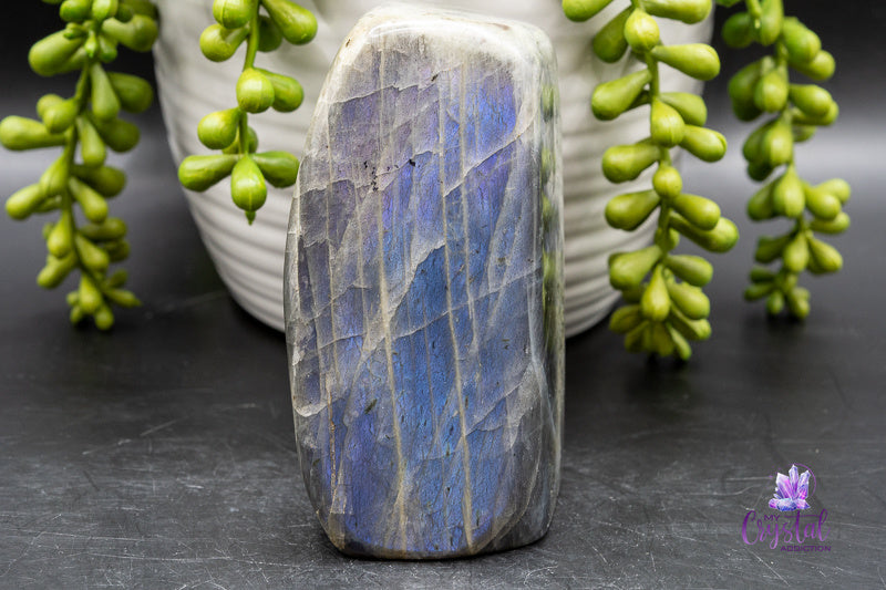 Labradorite Freeform - 2 × 4 in - Throat Chakra - My Crystal Addiction