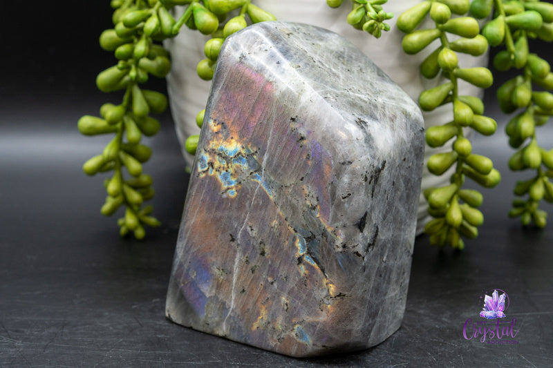 Labradorite Freeform - 2.5 × 4 in - Throat Chakra - My Crystal Addiction