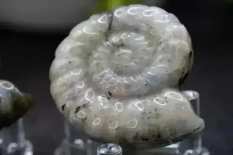 Labradorite Spiral Shell Carving - Throat Chakra - My Crystal Addiction