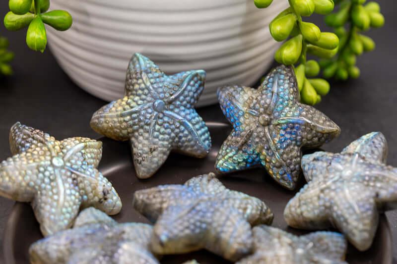 Labradorite Carving - Starfish - My Crystal Addiction