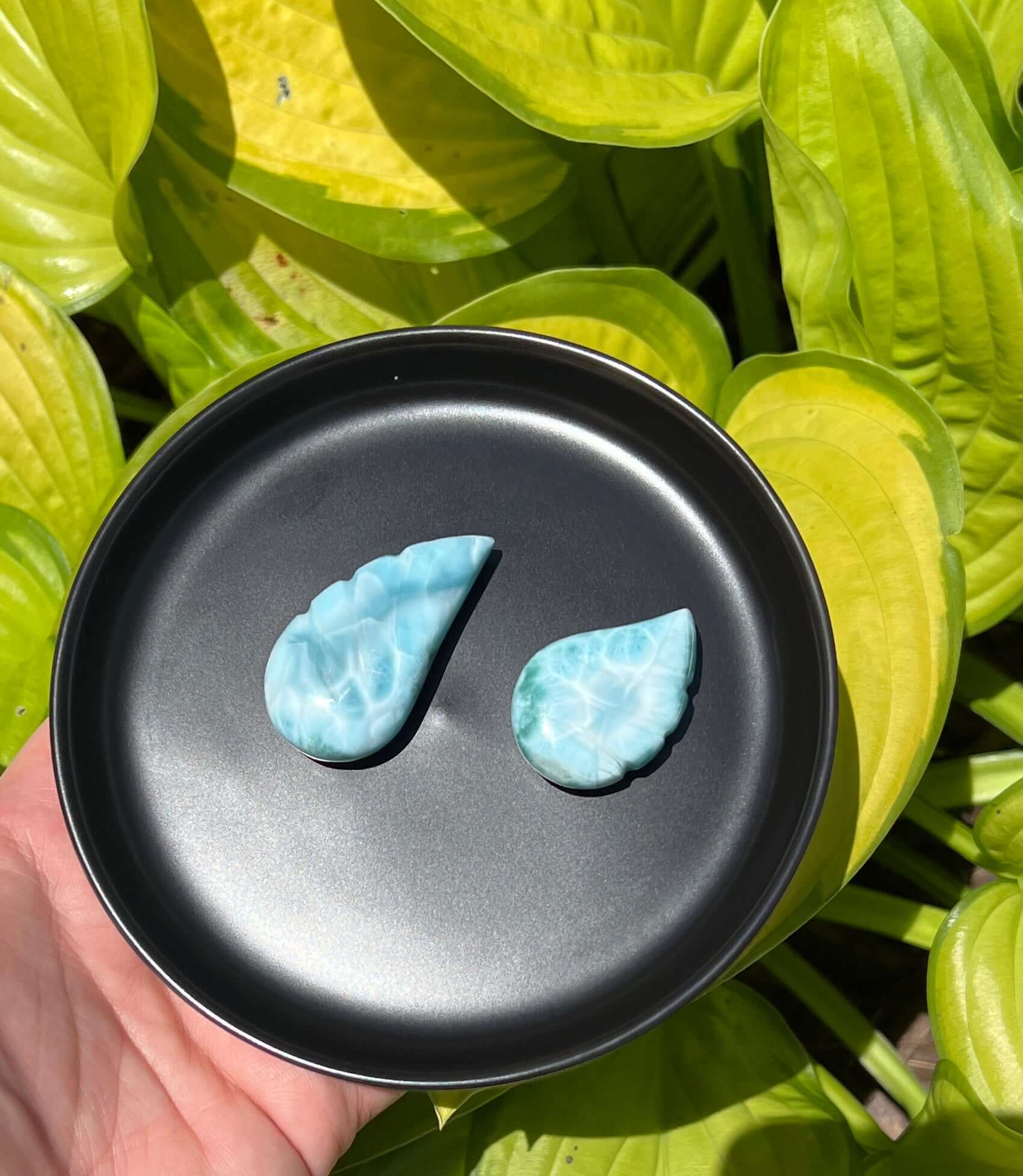 Larimar Wing Carving - 1-1.5" - My Crystal Addiction