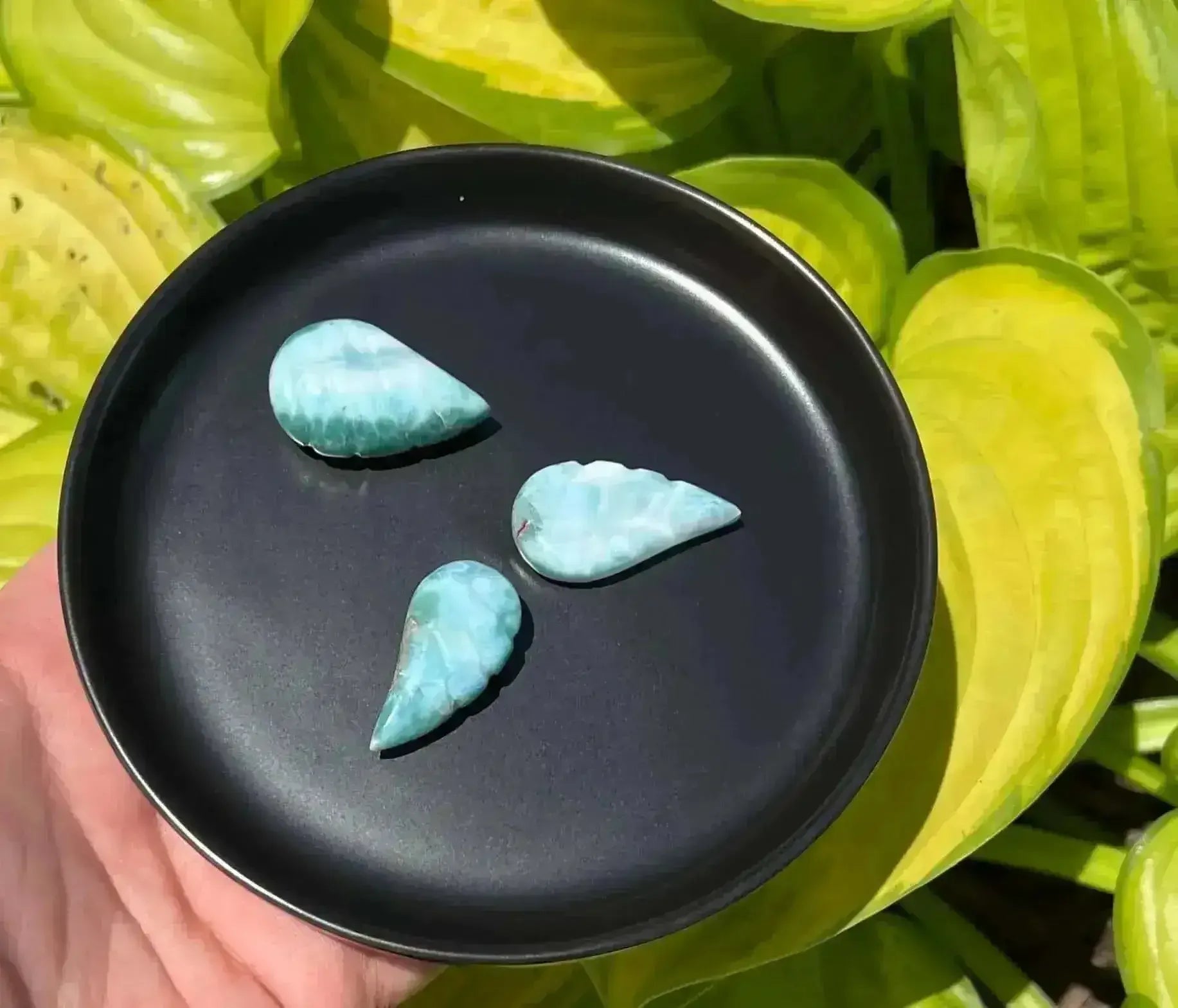 Larimar Wing Carving - Throat Chakra - My Crystal Addiction