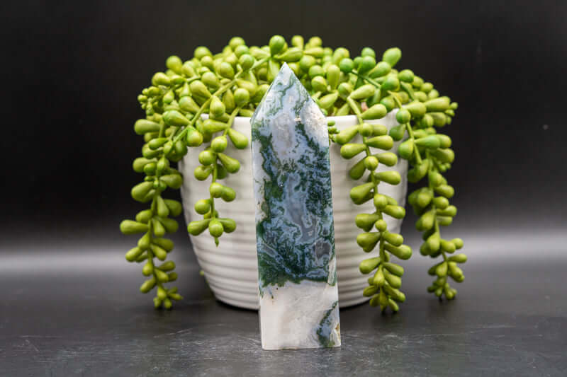 Moss Agate Tower 5.5" - My Crystal Addiction