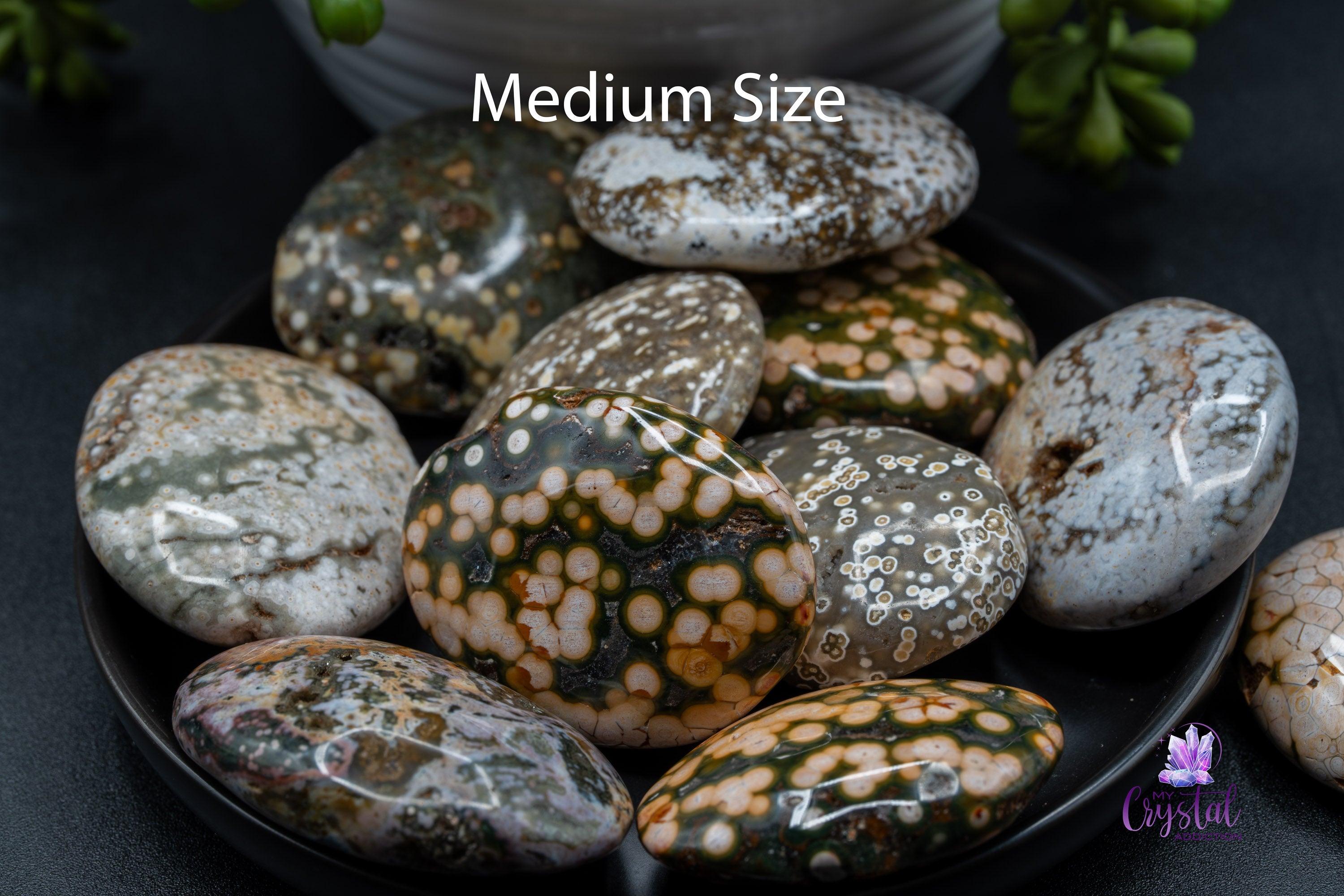 Ocean Jasper Palm Stone - My Crystal Addiction
