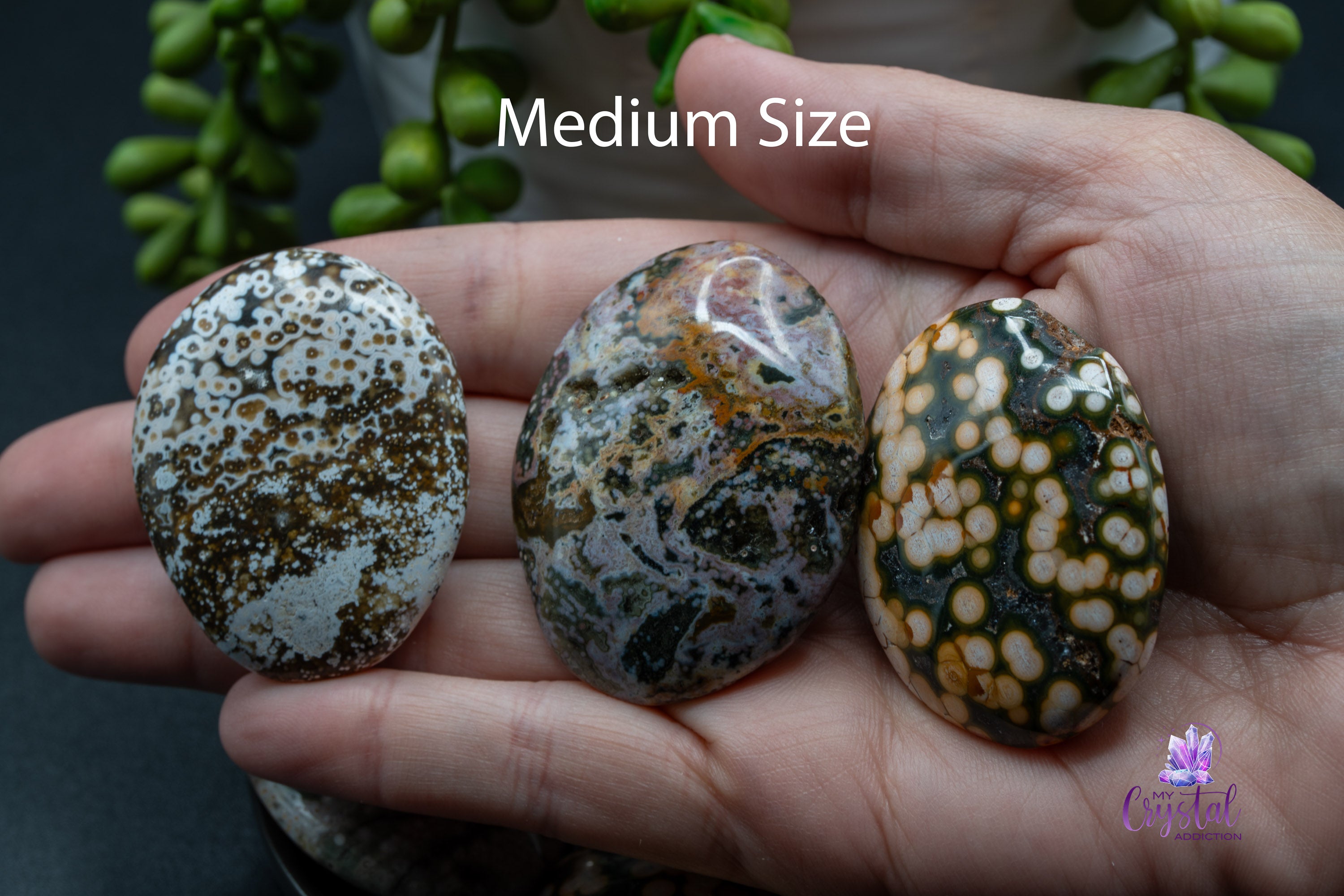Ocean Jasper Palm Stone - My Crystal Addiction