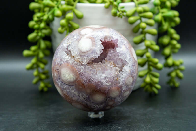 Pink Amethyst w/Flower Agate Druzy Sphere 3.5" - My Crystal Addiction