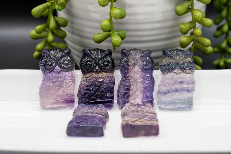 Rainbow Fluorite Owl Carving - Third Eye Chakra - My Crystal Addiction