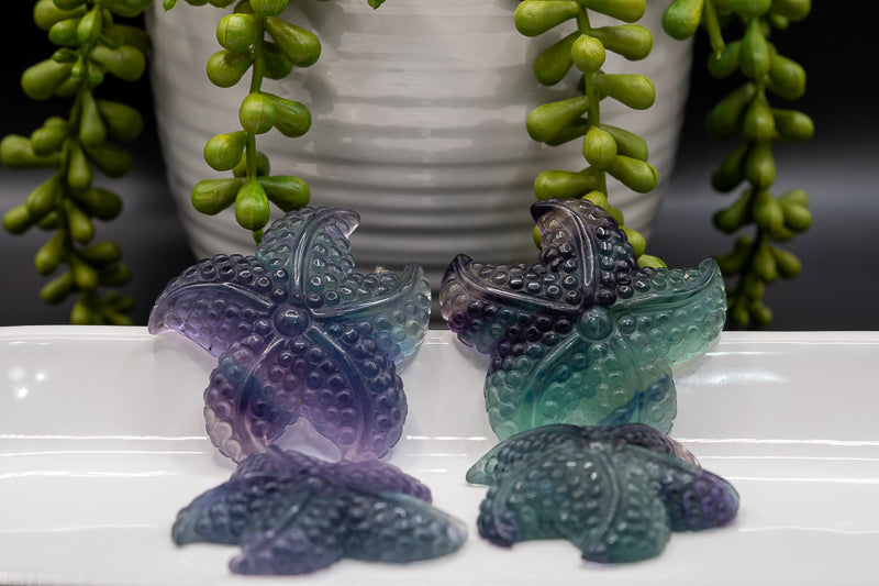 Rainbow Fluorite Starfish Carving - Third Eye Chakra - My Crystal Addiction
