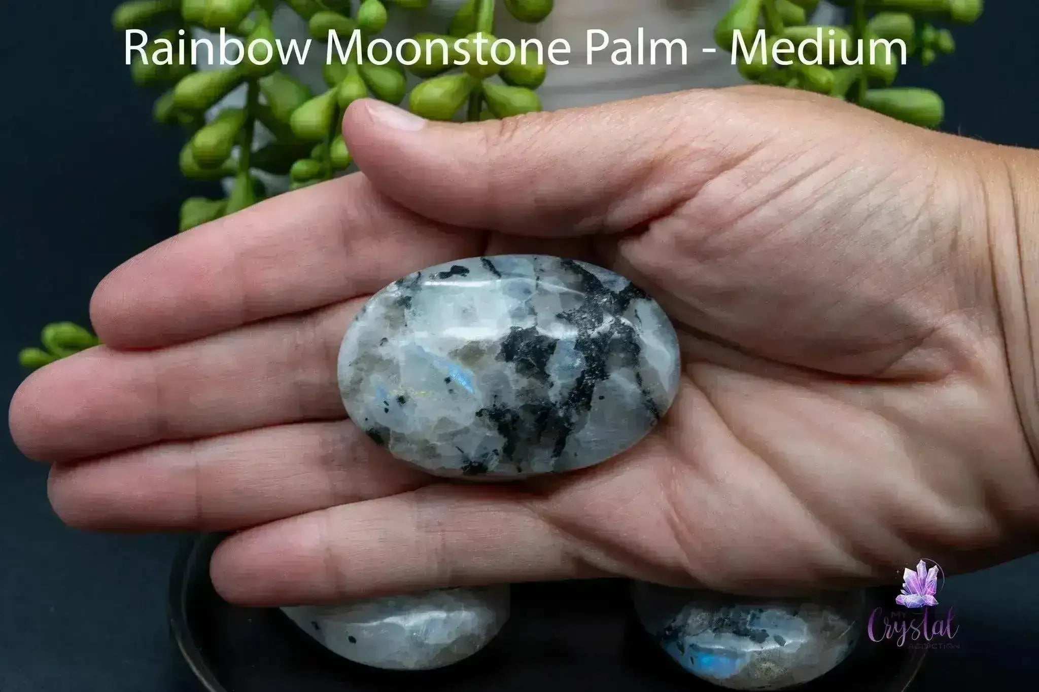 Rainbow Moonstone Palms Stones - My Crystal Addiction