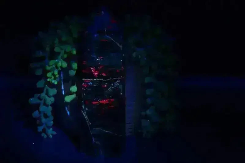 Ruby Zoisite Tower - Heart Chakra - My Crystal Addiction