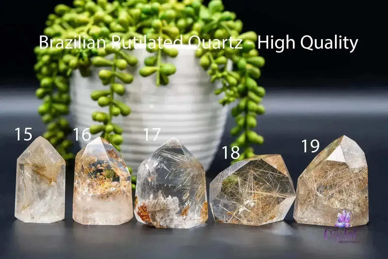 Rutile Quartz Tower 2.2" Brazilian Natural Crystal - My Crystal Addiction