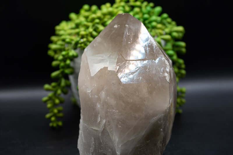 Smoky Quartz Point - 6.5" - My Crystal Addiction