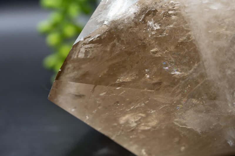 Smoky Quartz Point - 6.5" - My Crystal Addiction