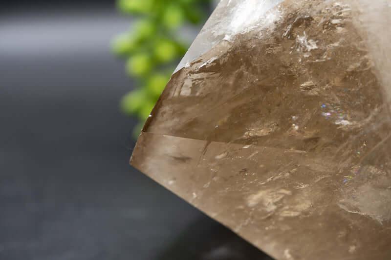 Smoky Quartz Point - 6.5" - My Crystal Addiction