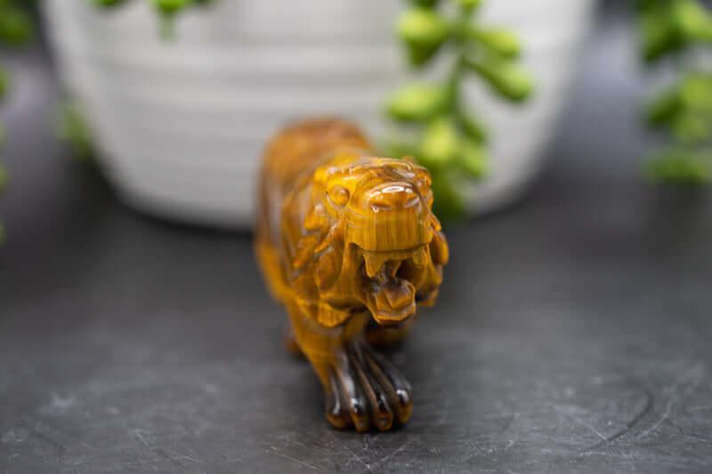 Tiger Eye Carving - Tiger - My Crystal Addiction