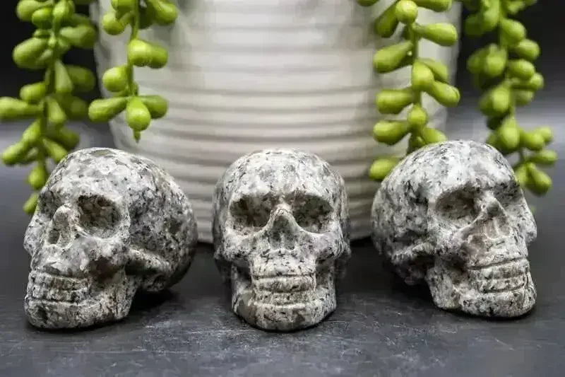 Yooperlite Skull Carving - Throat Chakra - My Crystal Addiction