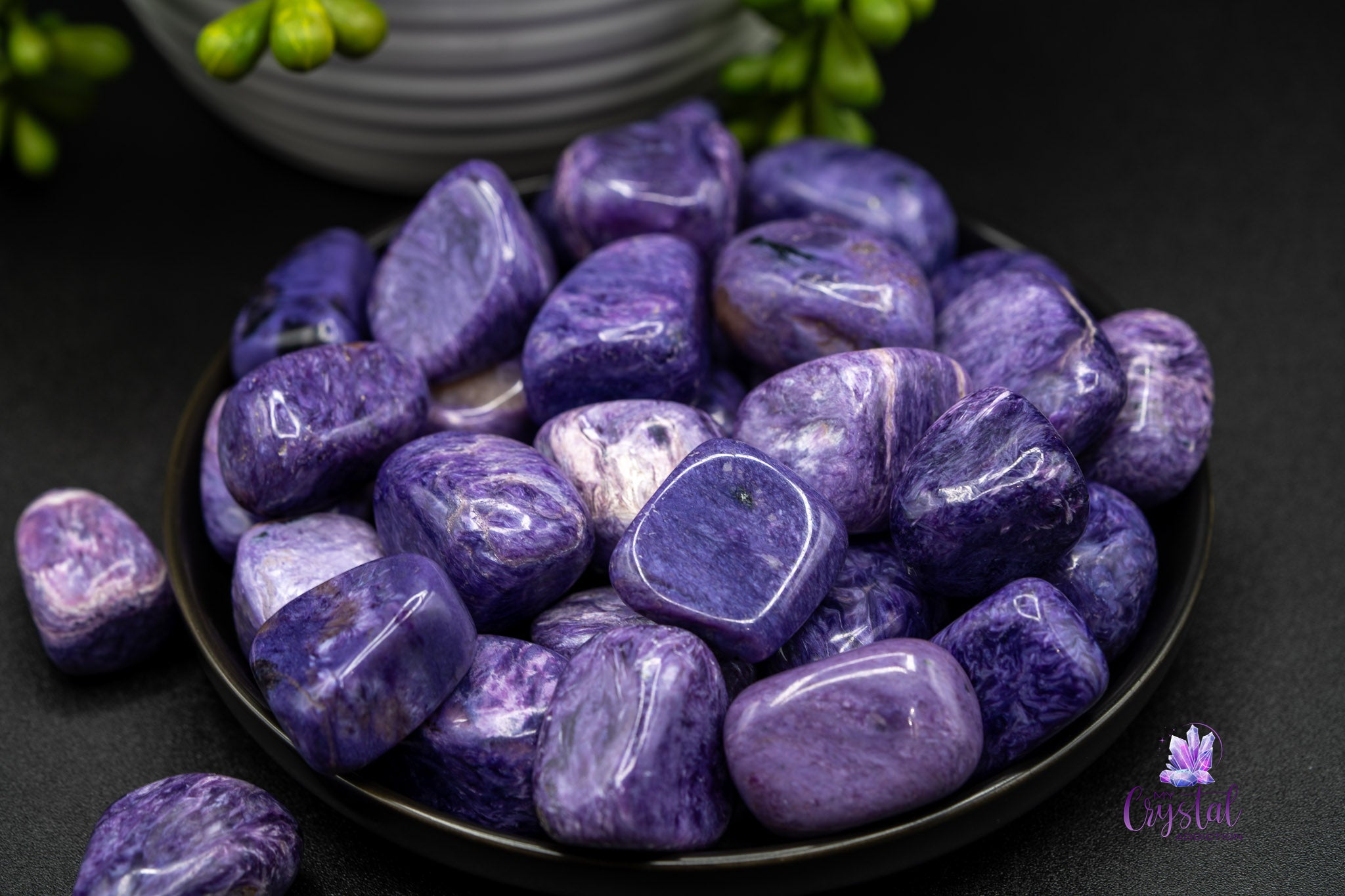 Polished charoite stones in a black bowl on a dark surface with green plant accents.