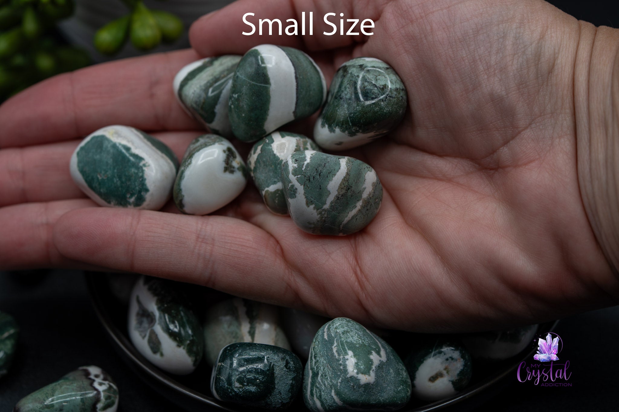 Hand holding small size tumbled green moss agate stones, My Crystal Addiction logo visible