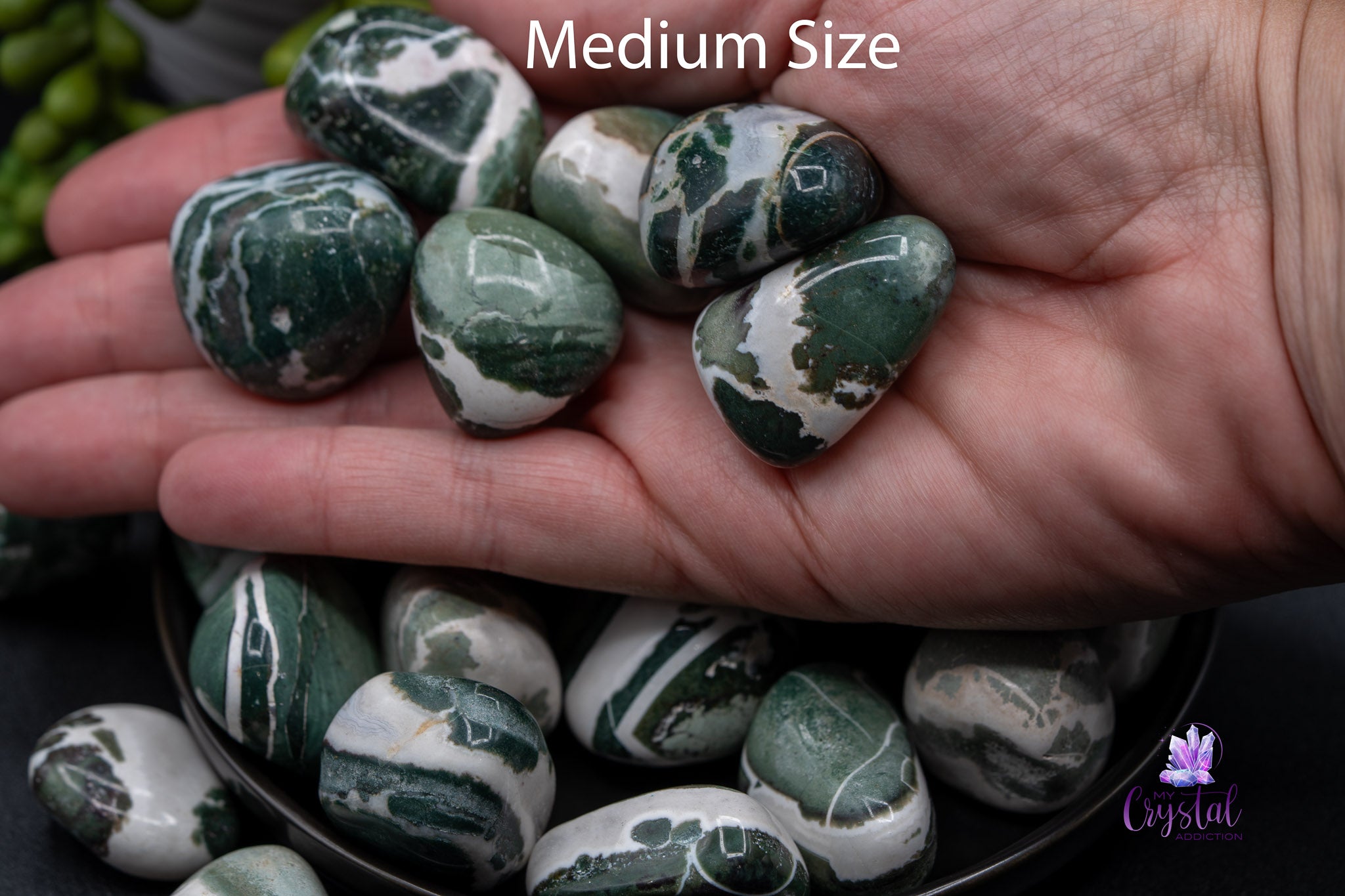 Hand holding medium size tumbled green and white jasper crystals, black background, My Crystal Addiction logo.